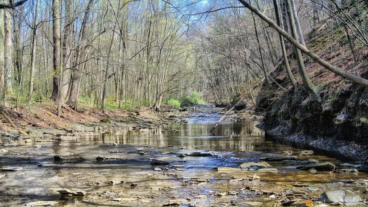 A wooded river running between wooded banks in southern Indiana